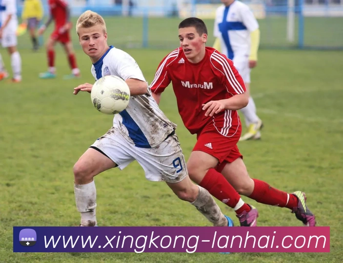 星空体育APP 封面图